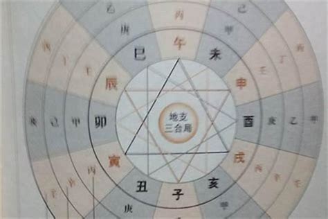 先天胎元意思|八字分析 